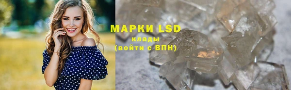 ГАЛЛЮЦИНОГЕННЫЕ ГРИБЫ Ладушкин