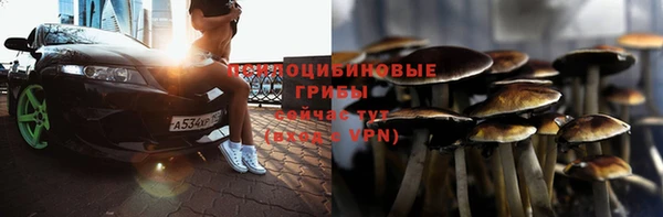 стафф Абдулино