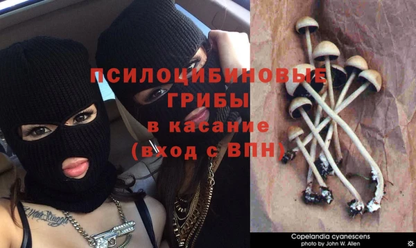 стафф Абдулино