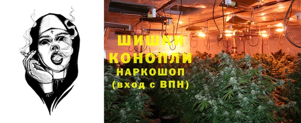 ГАЛЛЮЦИНОГЕННЫЕ ГРИБЫ Ладушкин