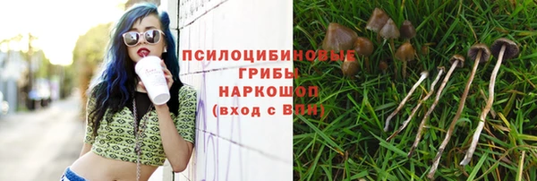 МДПВ Лагань